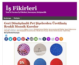 İş Fikirleri